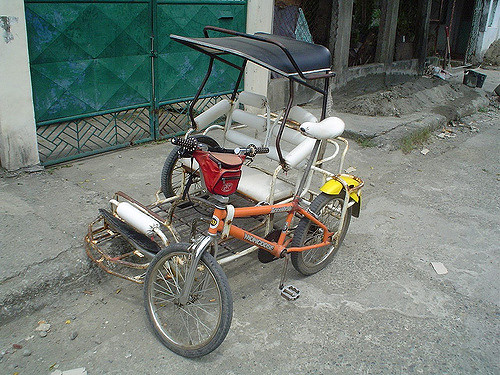 Philippine Tricycad